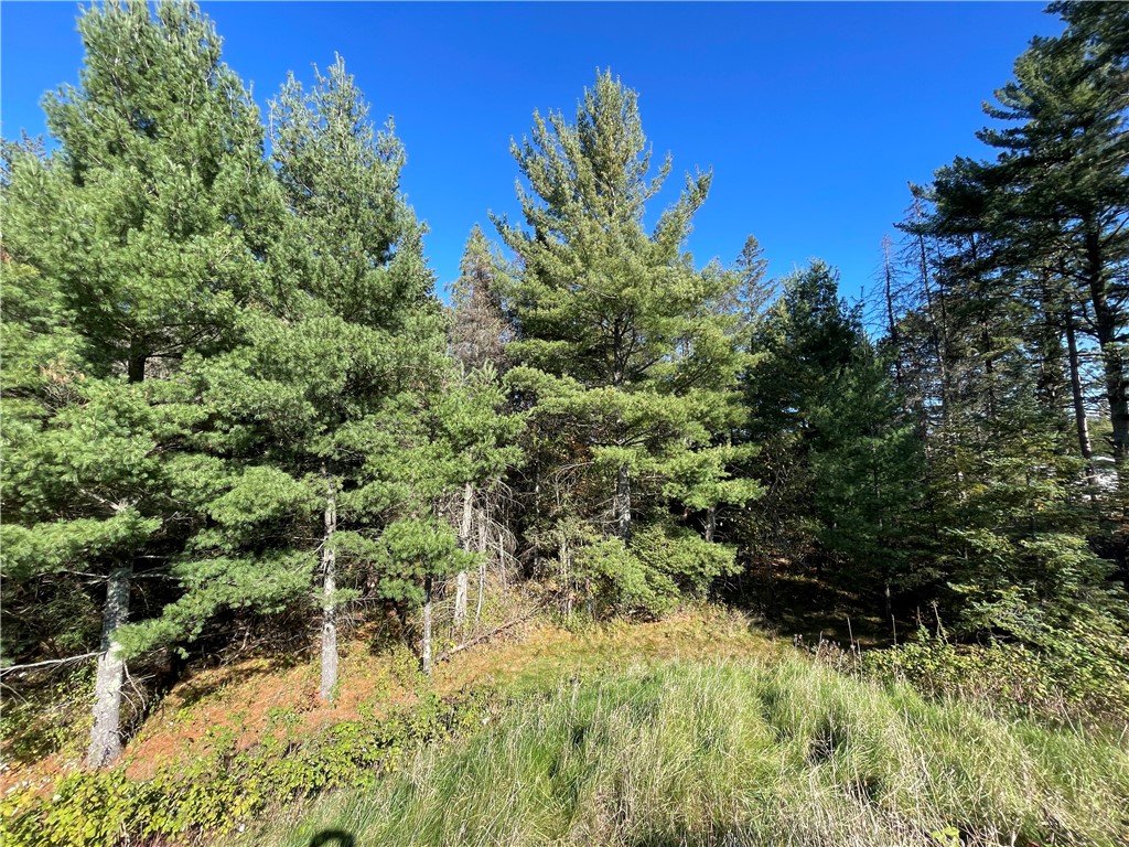 0 Heinz Road Hayward WI 54843 1596413 image8