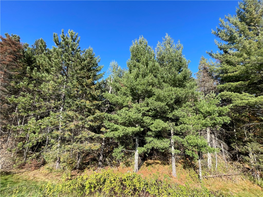 0 Heinz Road Hayward WI 54843 1596413 image9