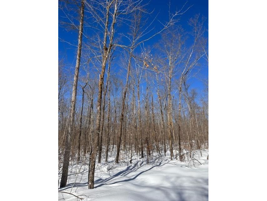 0 Hideaway Lane - Lot 3 Couderay WI 54828 1571595 image1