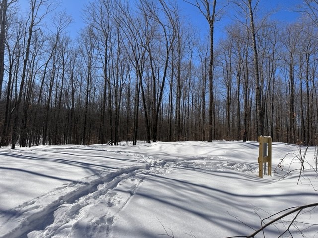 0 Hideaway Lane - Lot 4 Couderay WI 54828 1571352 image1