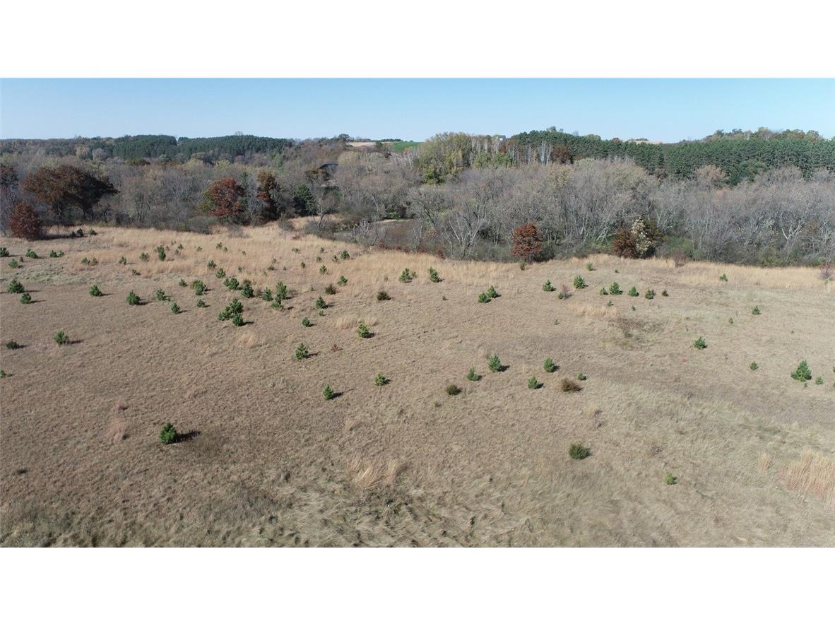 0 Highway 10 Strum WI 54770 - Buffalo River 1592500 image10