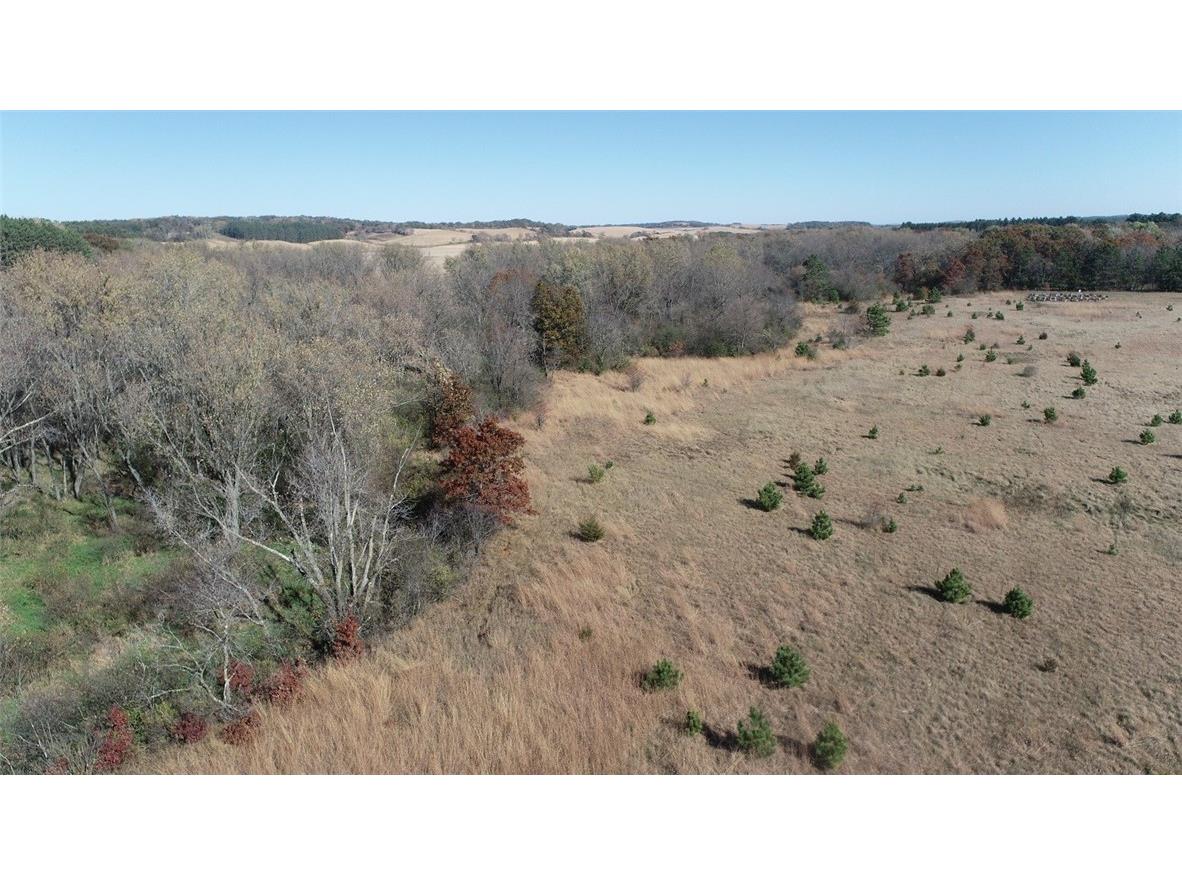 0 Highway 10 Strum WI 54770 - Buffalo River 1592500 image3