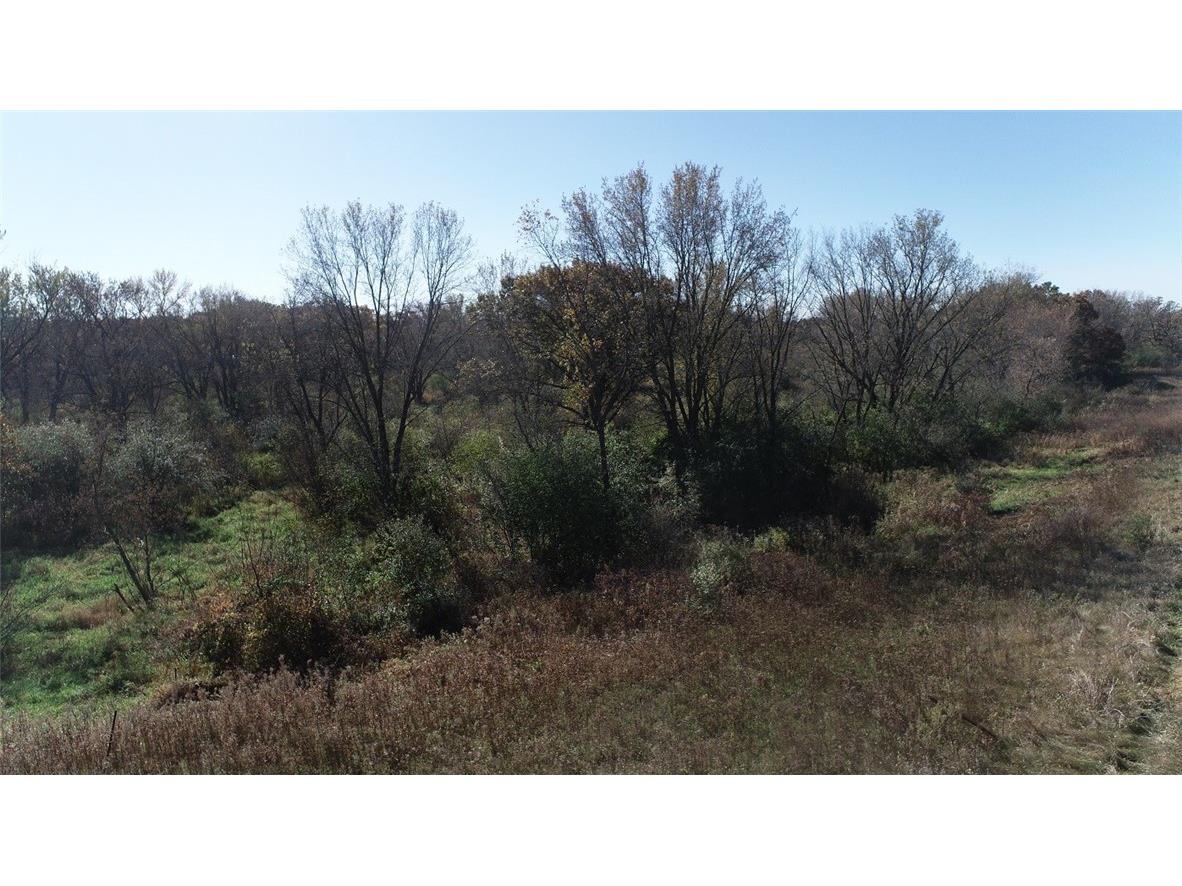 0 Highway 10 Strum WI 54770 - Buffalo River 1592500 image5