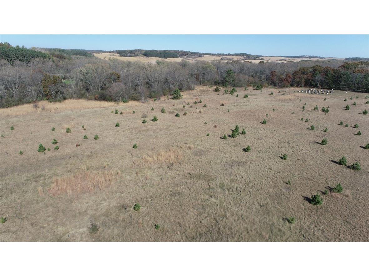 0 Highway 10 Strum WI 54770 - Buffalo River 1592500 image9