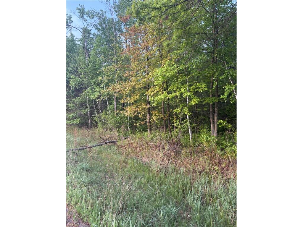 0 Highway 12 Merrillan WI 54754 1592179 image3