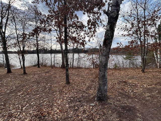 0 Highway 35 Danbury WI 54830 - #2 Resevoir / Glendenning Lake 1589746 image10