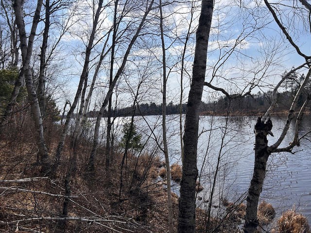 0 Highway 35 Danbury WI 54830 - #2 Resevoir / Glendenning Lake 1589746 image11