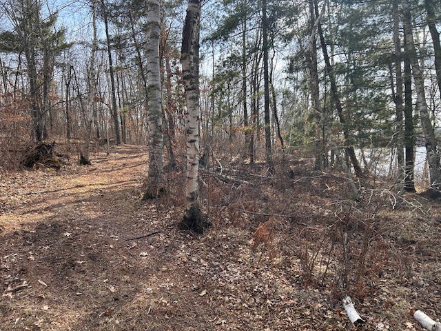 0 Highway 35 Danbury WI 54830 - #2 Resevoir / Glendenning Lake 1589746 image12