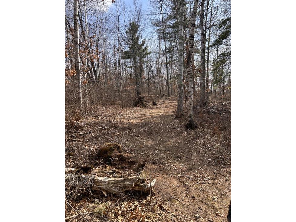 0 Highway 35 Danbury WI 54830 - #2 Resevoir / Glendenning Lake 1589746 image13