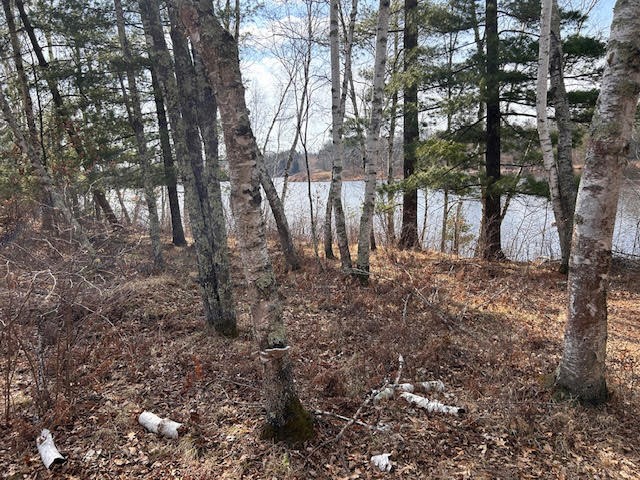 0 Highway 35 Danbury WI 54830 - #2 Resevoir / Glendenning Lake 1589746 image14