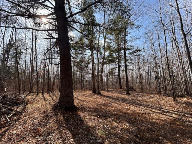 0 Highway 35 Danbury WI 54830 - #2 Resevoir / Glendenning Lake 1589746 image15