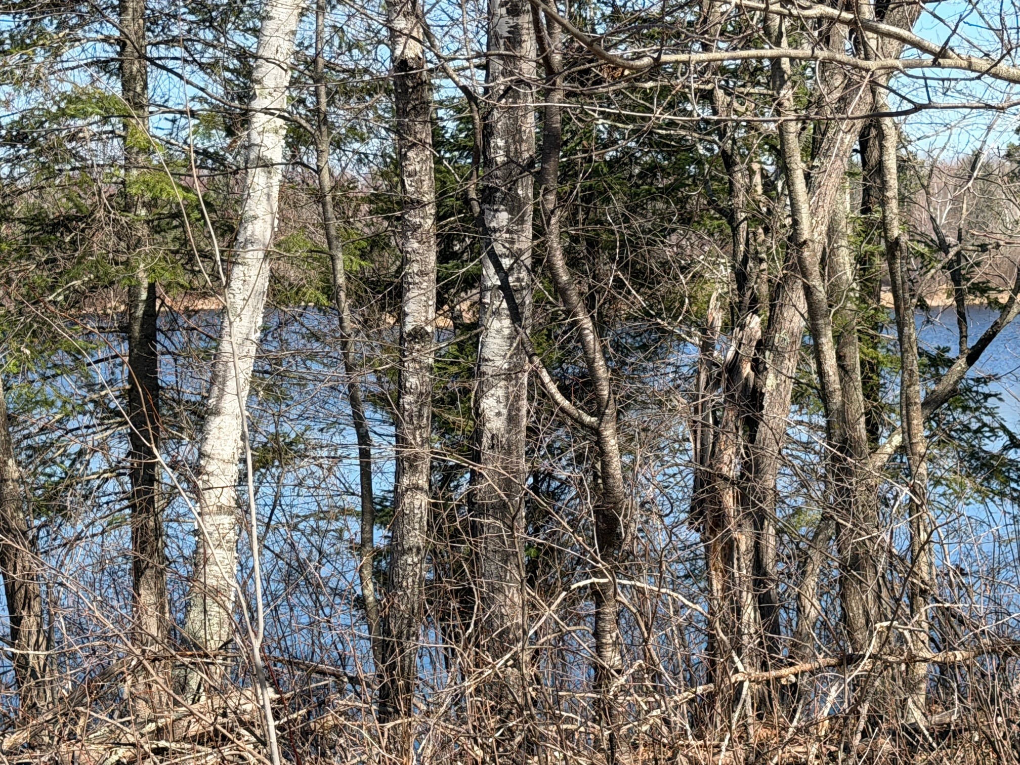 0 Highway 35 Danbury WI 54830 - Two Reservoir 1600361 image5