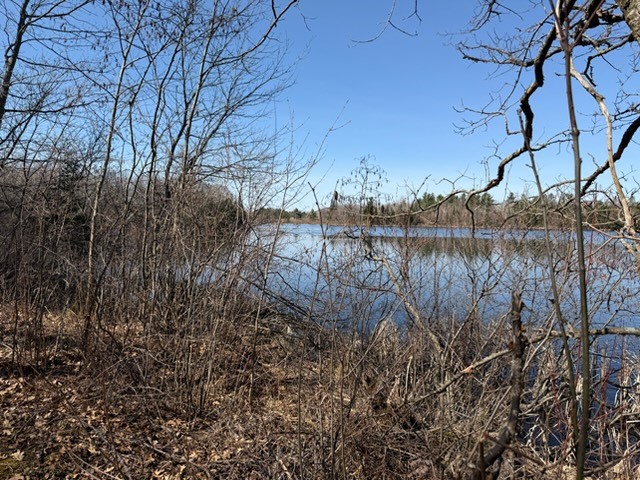 0 Highway 35 Danbury WI 54830 - Two Reservoir 1600361 image8