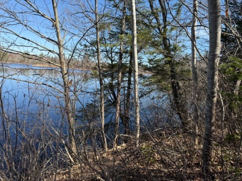0 Highway 35 Danbury WI 54830 - Two Reservoir 1600361 image9