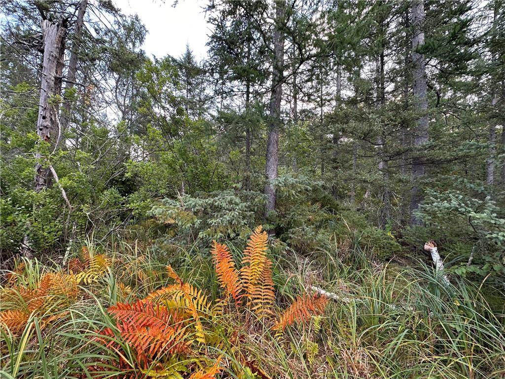 0 Highway 77 Minong WI 54859 1576548 image1