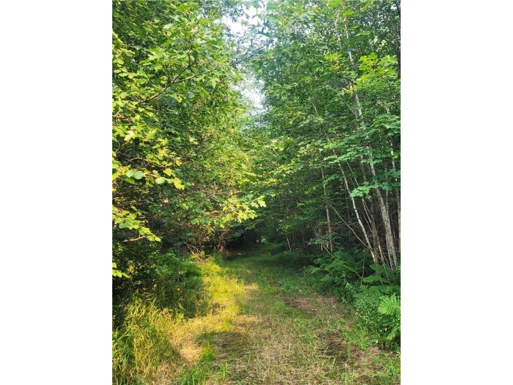 0 Hwy 10 Highway Neillsville WI 54456 1593994 image30