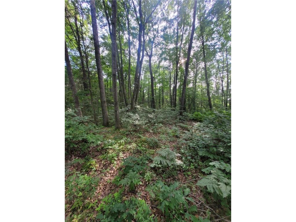 0 Hwy 10 Highway Neillsville WI 54456 1593994 image31