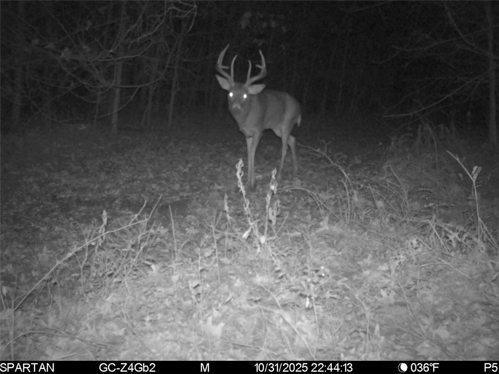 0 Hwy 10 Highway Neillsville WI 54456 1593994 image33