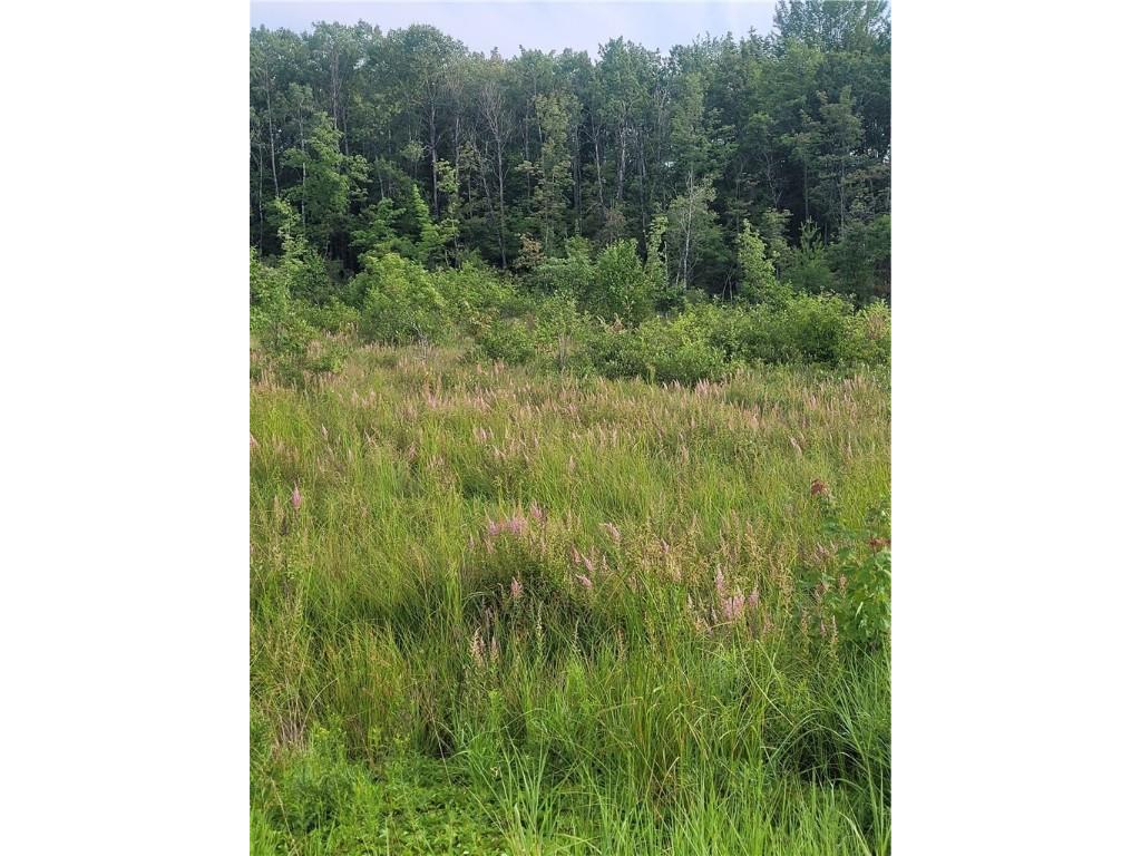 0 Hwy 10 Highway Neillsville WI 54456 1593994 image34