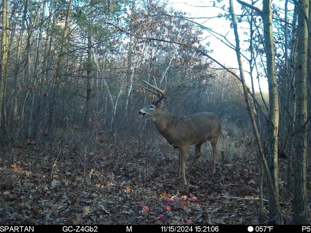 0 Hwy 10 Highway Neillsville WI 54456 1593994 image36