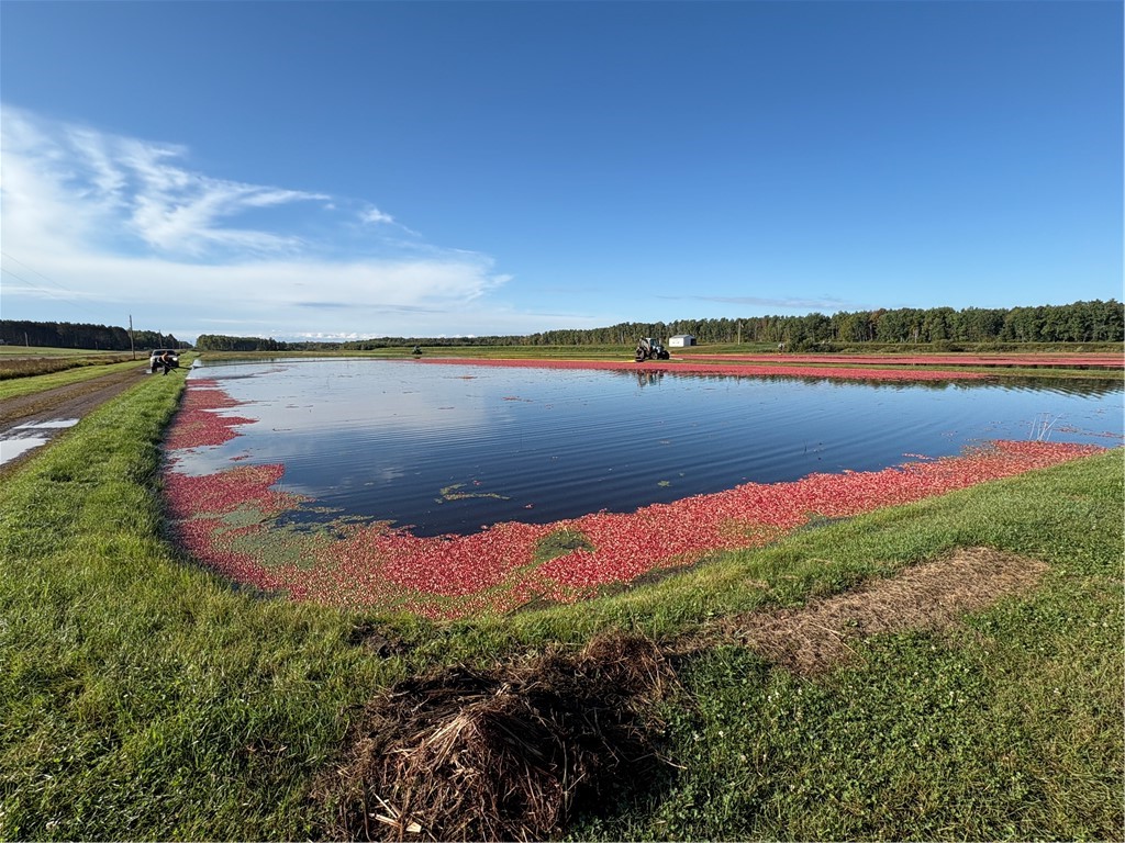 0 Hwy 27 Exeland WI 54835 1596383 image41