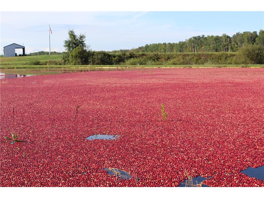 0 Hwy 27 Exeland WI 54835 1596383 image45