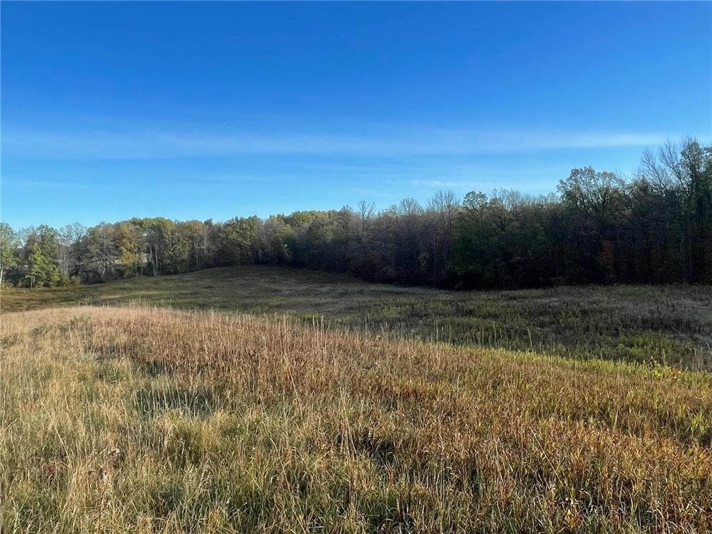 0 Hwy 48 Birchwood WI 54817 1577681 image1