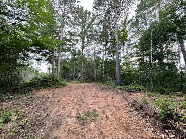 0 Highway 63 Springbrook WI 54875 1593195 image10