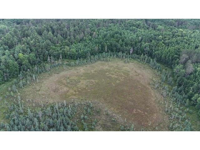 0 Highway 63 Springbrook WI 54875 1593195 image12