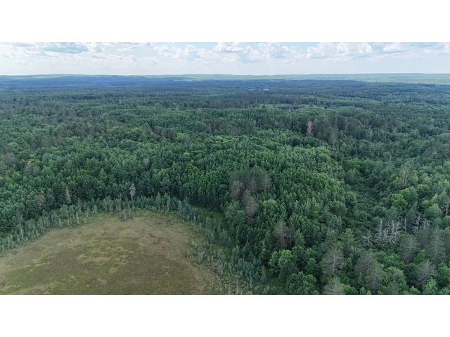 0 Highway 63 Springbrook WI 54875 1593195 image13