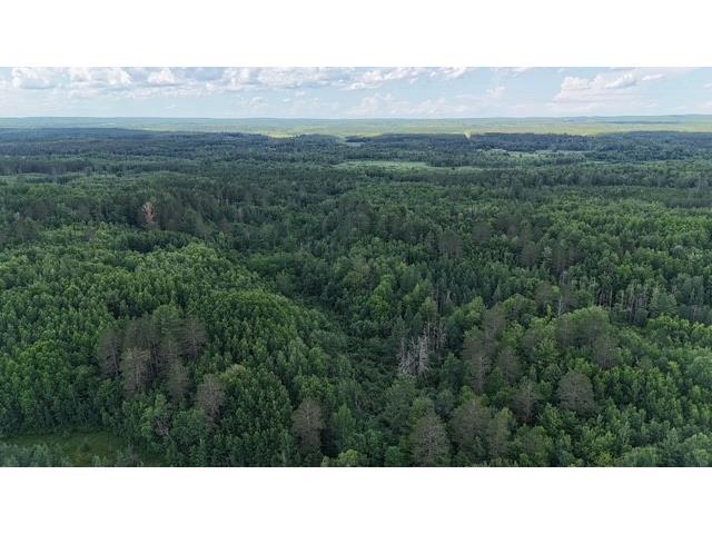 0 Highway 63 Springbrook WI 54875 1593195 image14