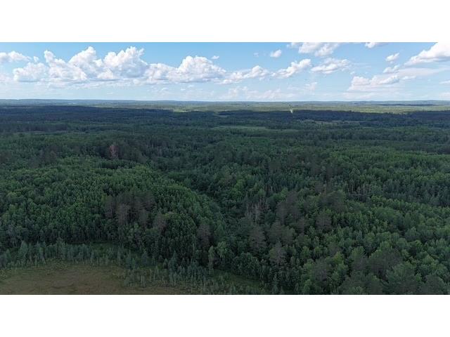 0 Highway 63 Springbrook WI 54875 1593195 image15