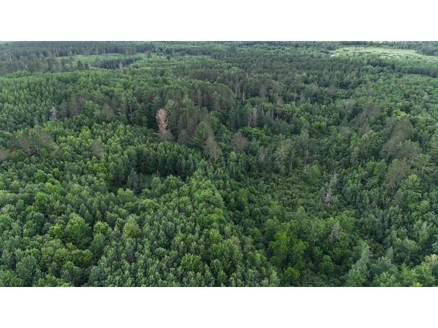 0 Highway 63 Springbrook WI 54875 1593195 image17