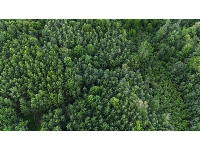 0 Highway 63 Springbrook WI 54875 1593195 image18