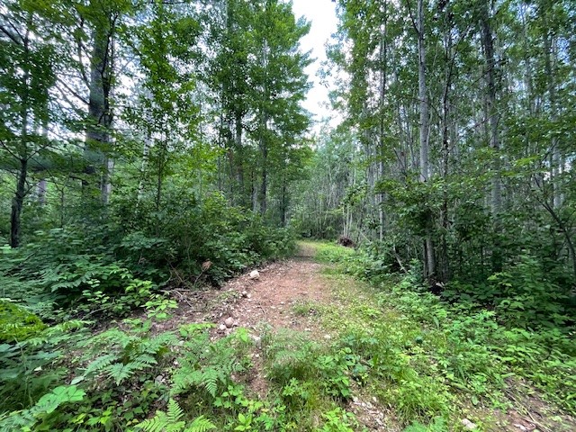 0 Highway 63 Springbrook WI 54875 1593195 image6