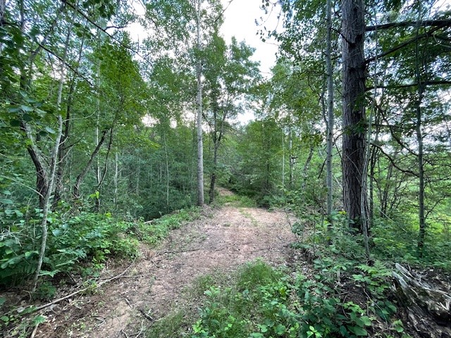 0 Highway 63 Springbrook WI 54875 1593195 image7