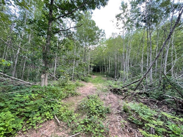 0 Highway 63 Springbrook WI 54875 1593195 image8