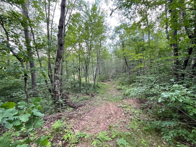 0 Highway 63 Springbrook WI 54875 1593195 image9