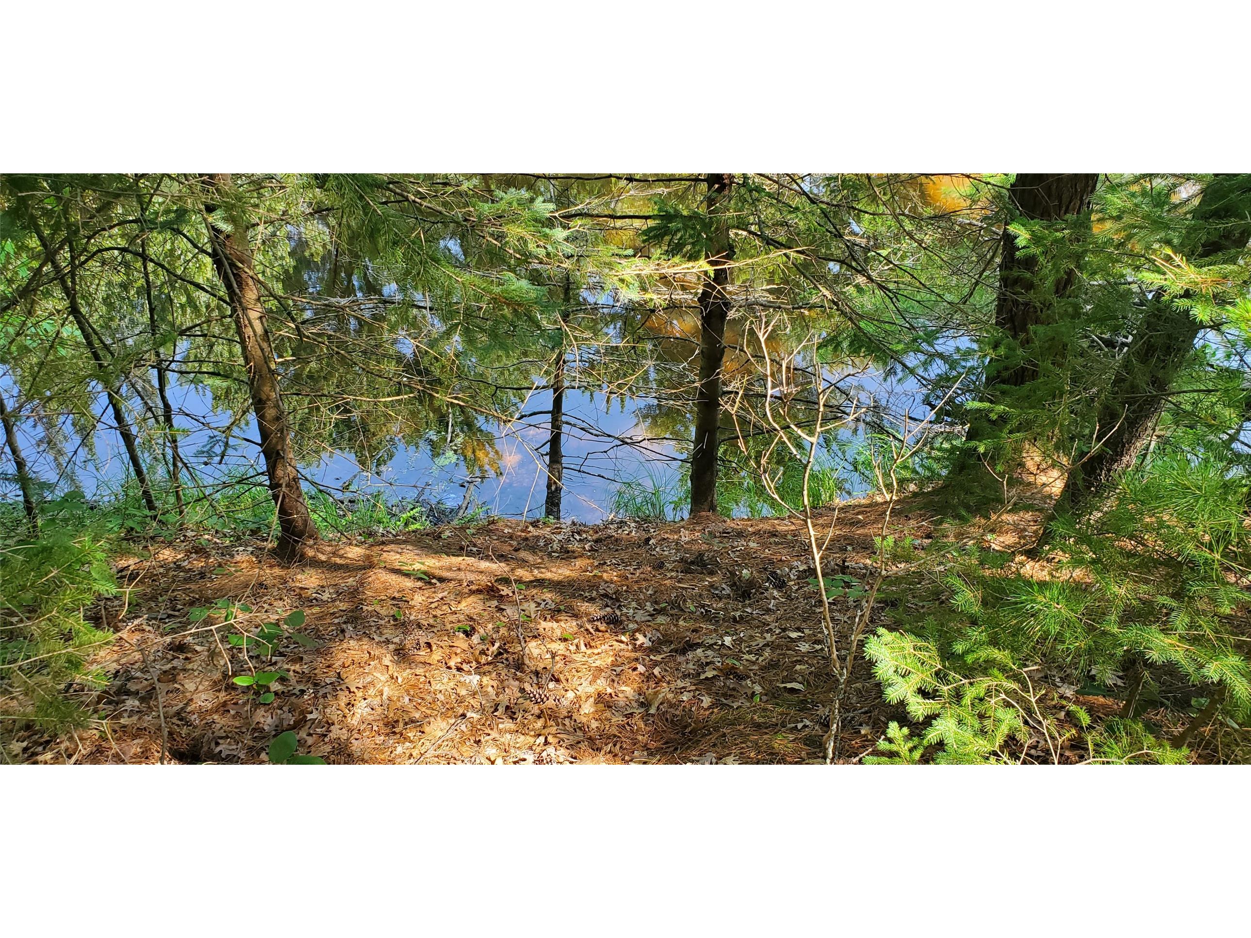 0 Hwy D Holcombe WI 54745 - Chippewa 1602913 image6