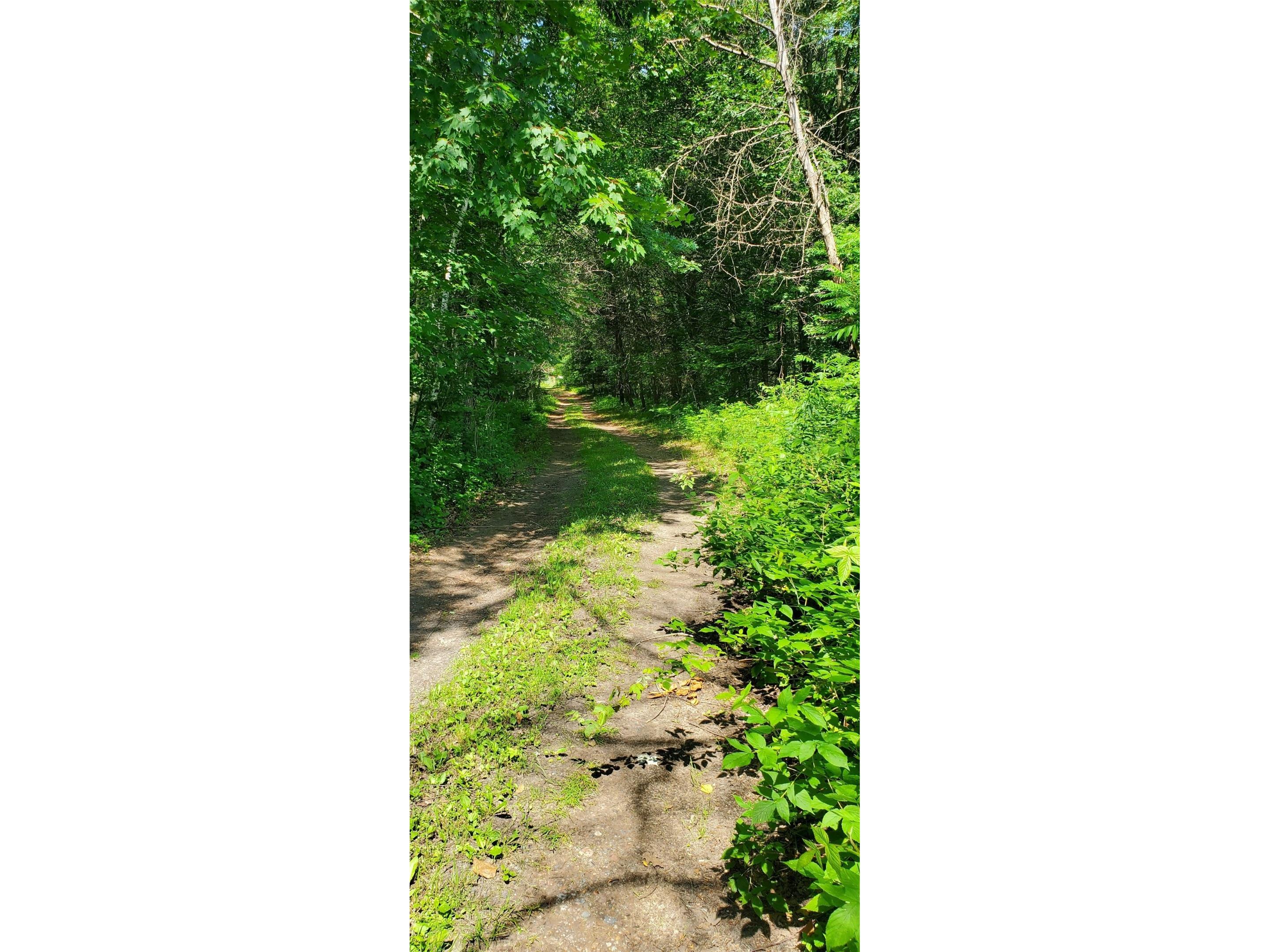 0 Hwy D Holcombe WI 54745 - Chippewa 1602913 image7