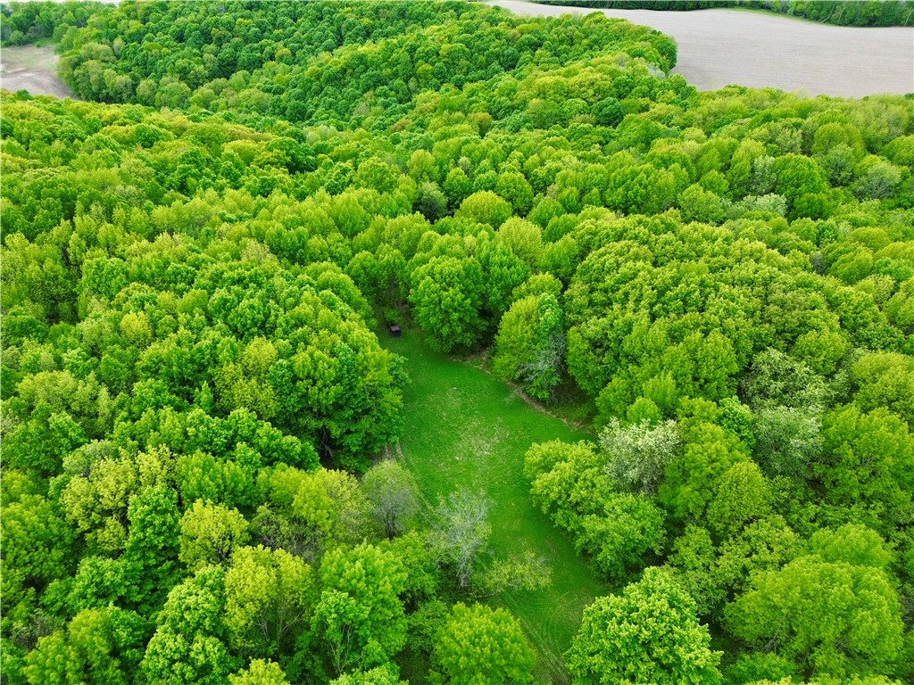 0 Jackson Road Knapp WI 54749 1592124 image1