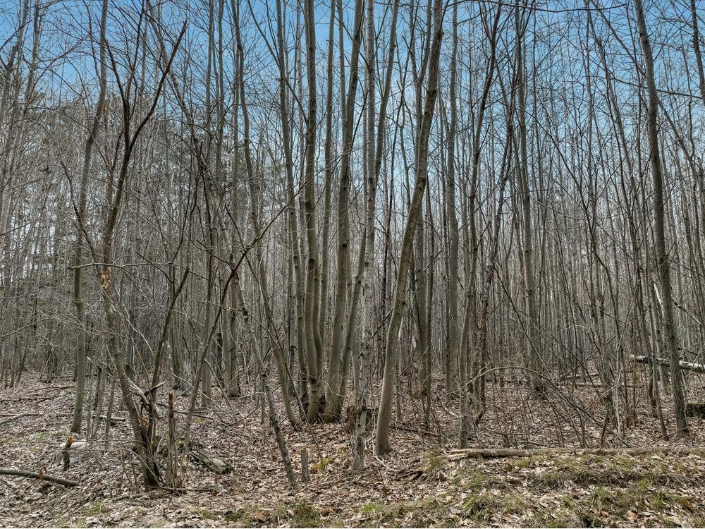 0 Janesville Avenue Hayward WI 54843 1572762 image1