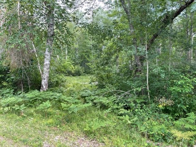 0 Kelly Lake Road Barnes WI 54873 1575935 image1