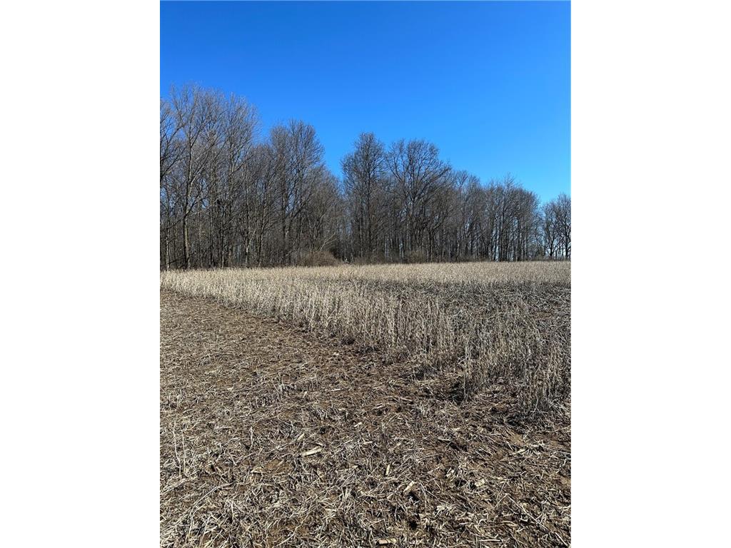 0 Kelp Road Norwalk WI 54648 1572068 image1