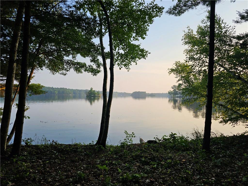 0 LOT 4 North Lake Road Greenwood WI 54437 - Mead Lake 1574580 image1