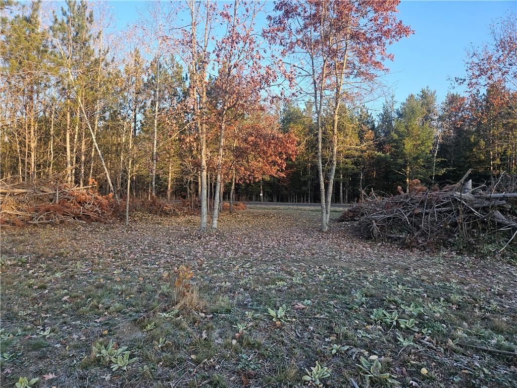 0 Lester Road Springbrook WI 54875 1578061 image1