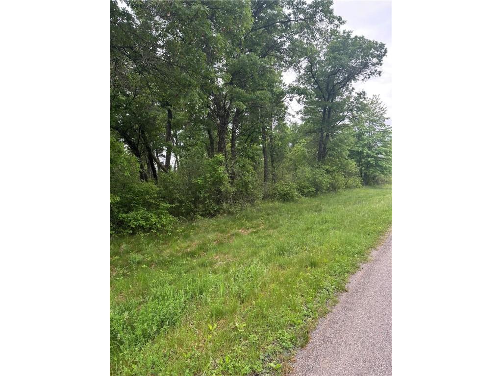 0 Levis Creek Road Black River Falls WI 54615 1592327 image1