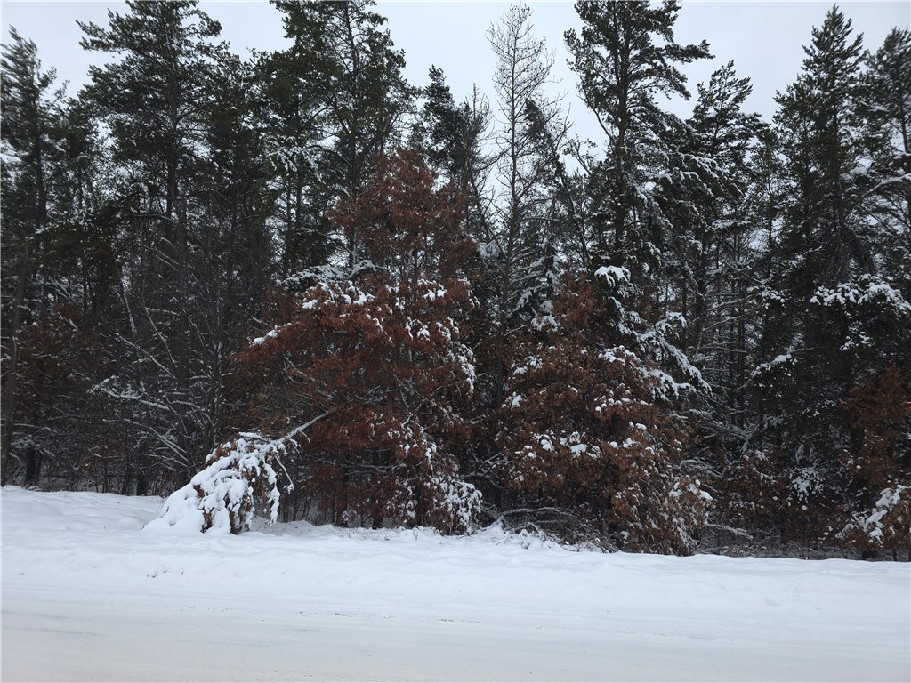 0 Liesch Rd Trego WI 54888 1597464 image11