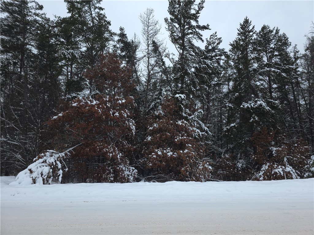 0 Liesch Rd Trego WI 54888 1597464 image12