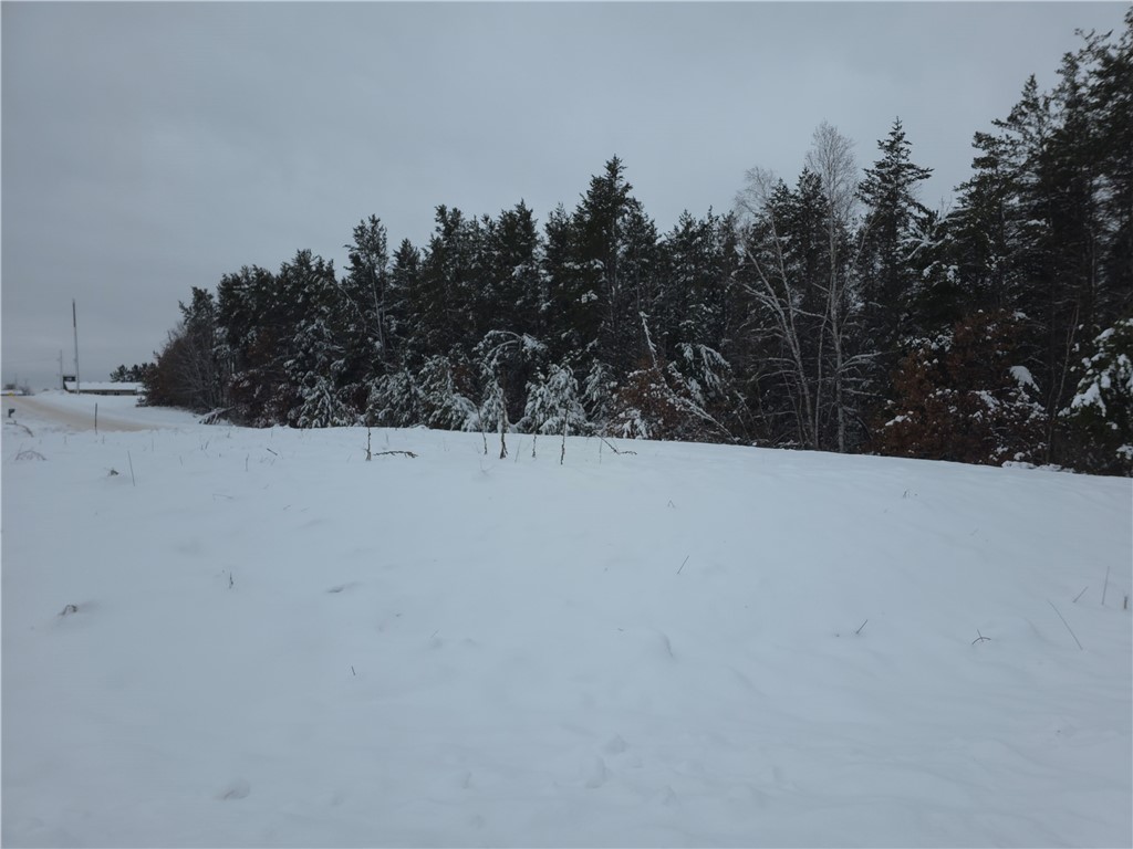 0 Liesch Rd Trego WI 54888 1597464 image16